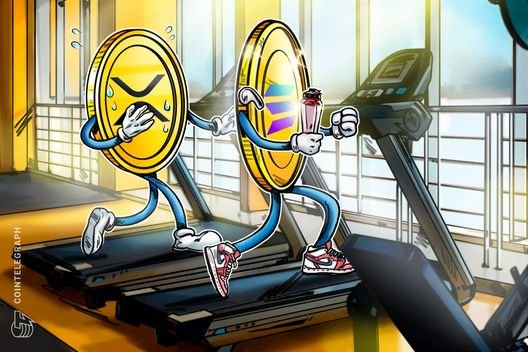 XRP needs a Solana-style strategy to keep up: Ripple executive