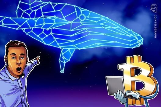 Bitcoin whales move millions as Iran war sends oil surging