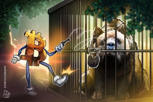Bitcoin bears 'annihilated' as analysis sees $65K support test next