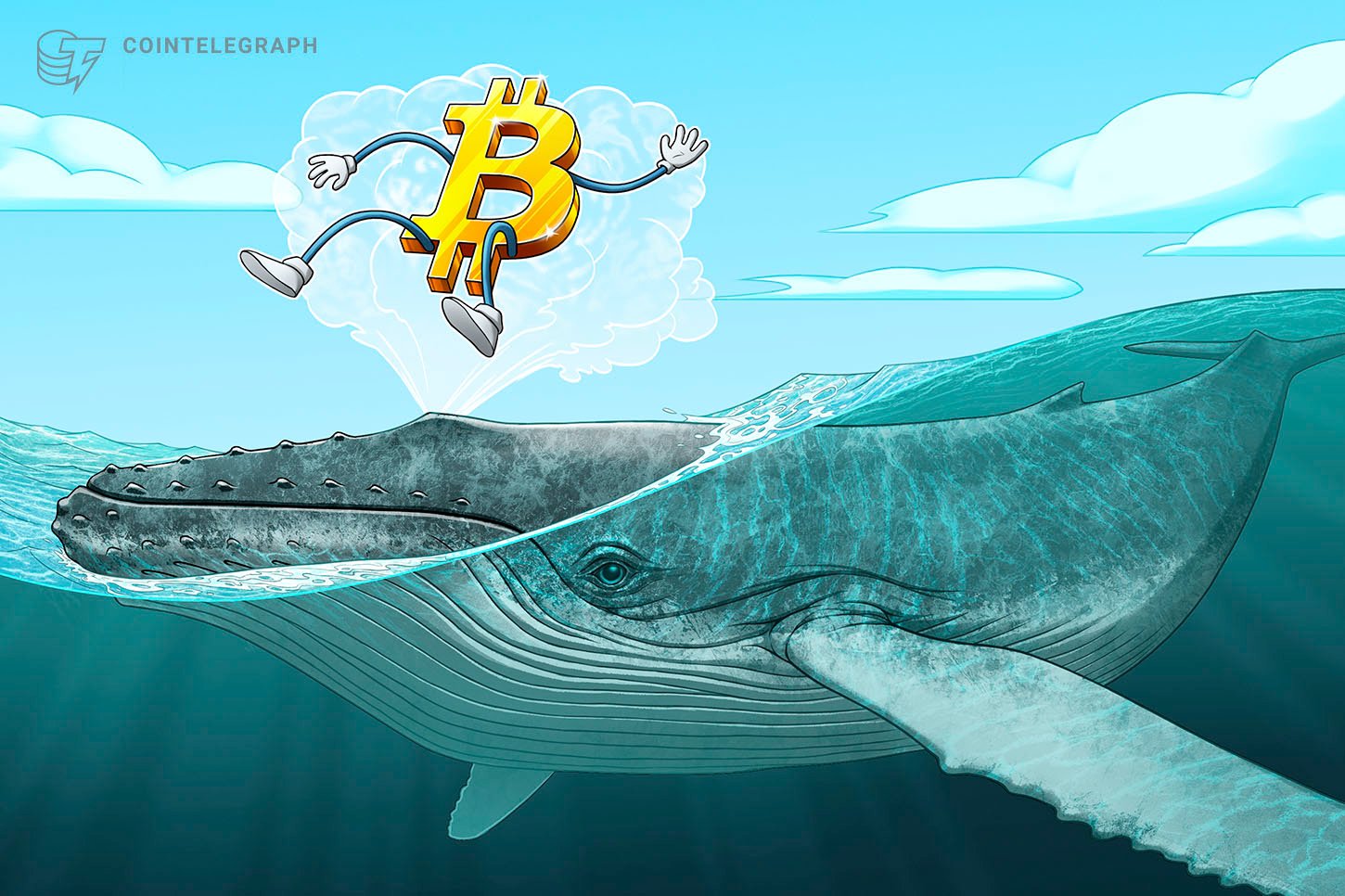 Crypto whales accumulate as bear market nears late stage: CryptoQuant